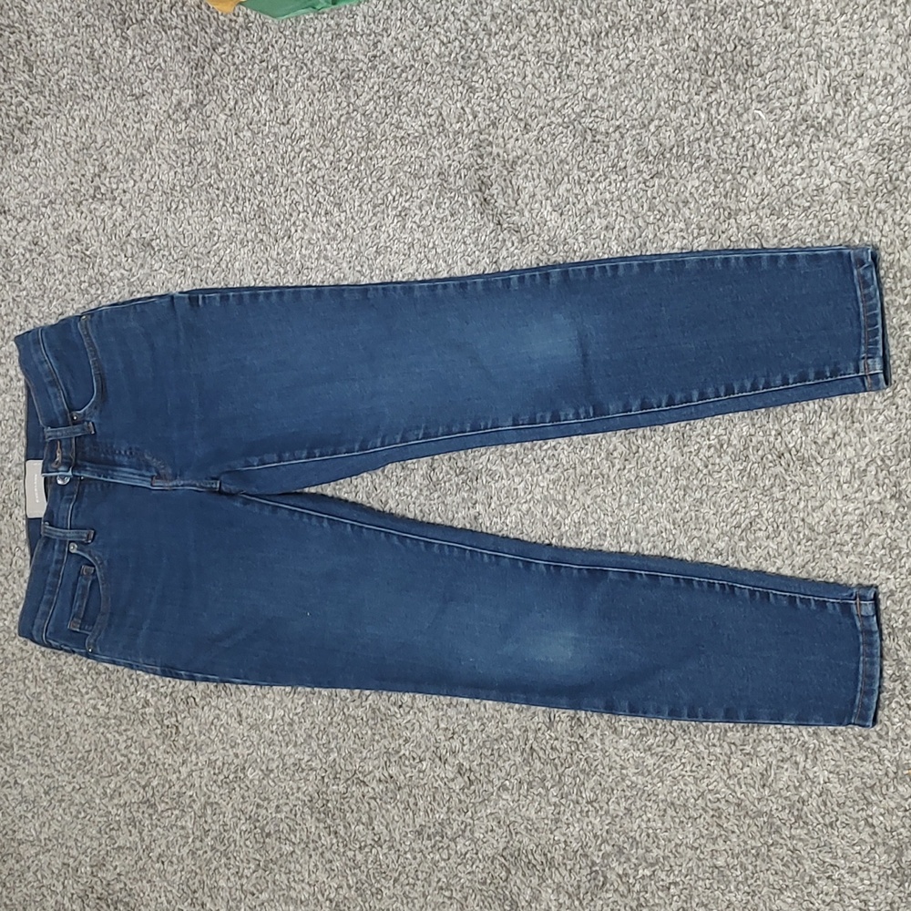 Classic Blue Wash Everlane Skinny Jeans